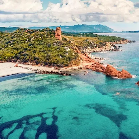 Flamingo Santa Maria Navarrese