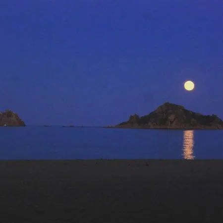 Flamingo Santa Maria Navarrese