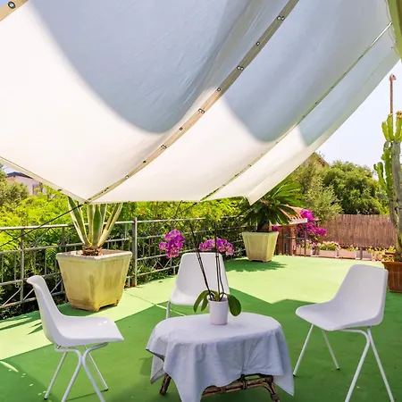 Flamingo Santa Maria Navarrese