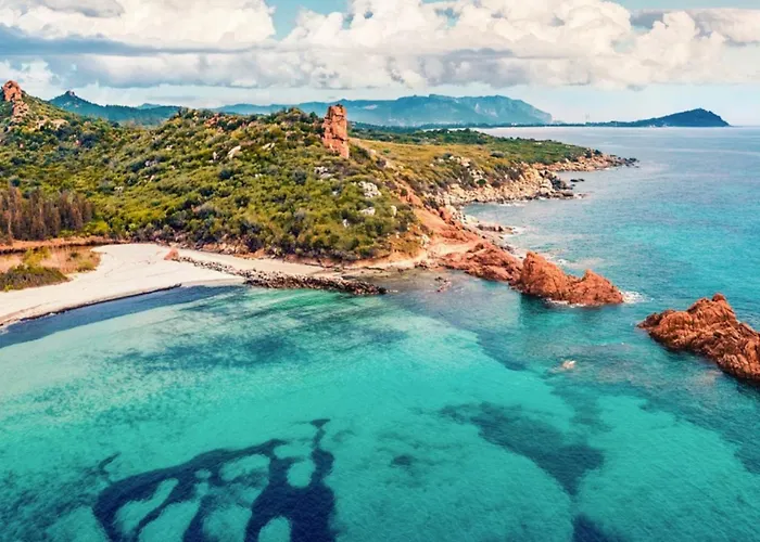 Flamingo Santa Maria Navarrese