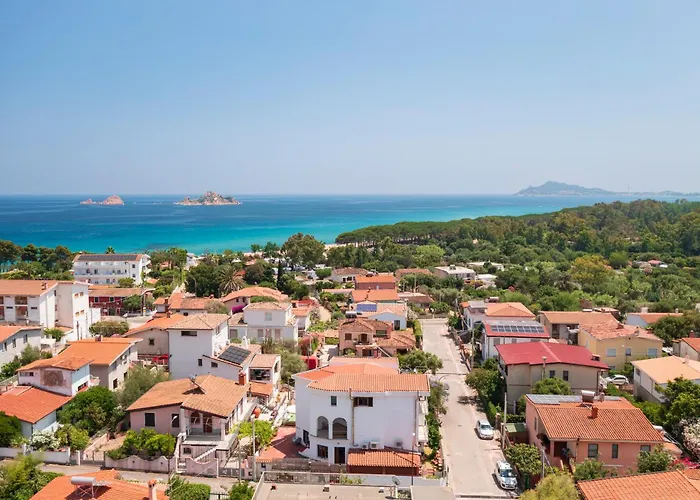 Flamingo Santa Maria Navarrese