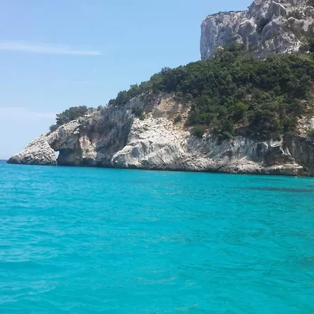 Flamingo Santa Maria Navarrese