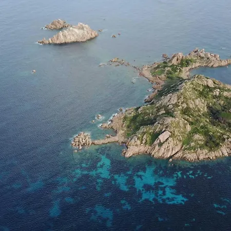 Flamingo Guest house